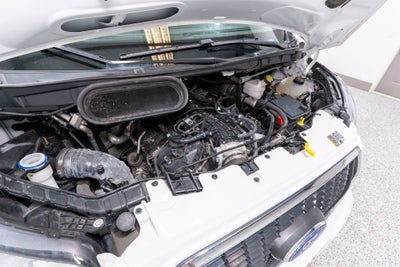 2023 Ford Transit Passenger Wagon XLT