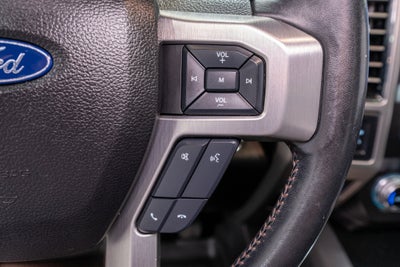 2021 Ford Super Duty F-250 SRW Platinum
