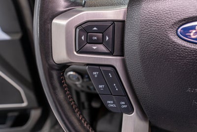 2021 Ford Super Duty F-250 SRW Platinum
