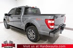 2023 Ford F-150 STX