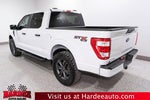 2023 Ford F-150 STX